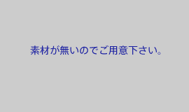 代替画像